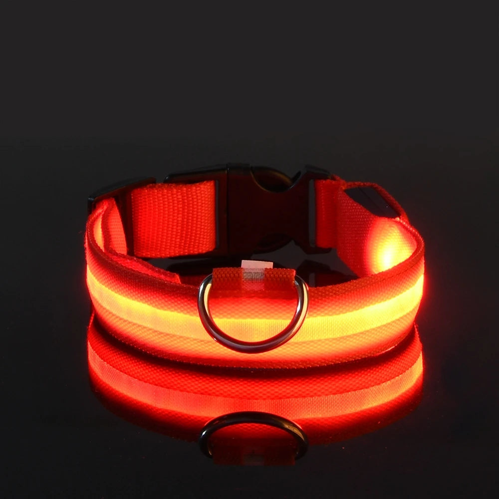 Collar LED Recargable de Nylon para mascotas