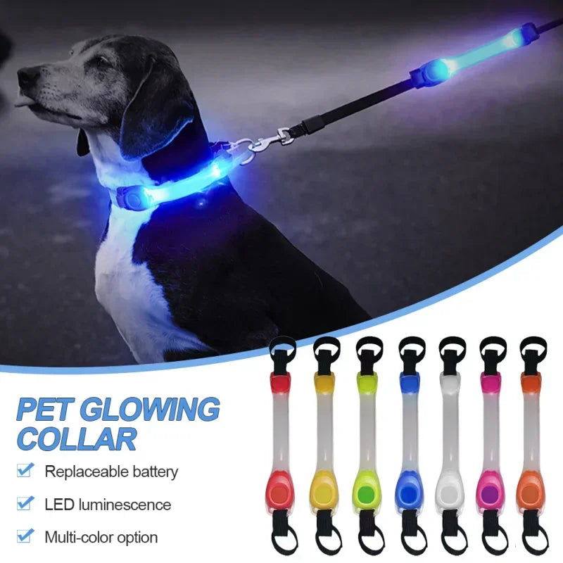 CollarLuces Multicolor para Paseos Nocturnos Seguros