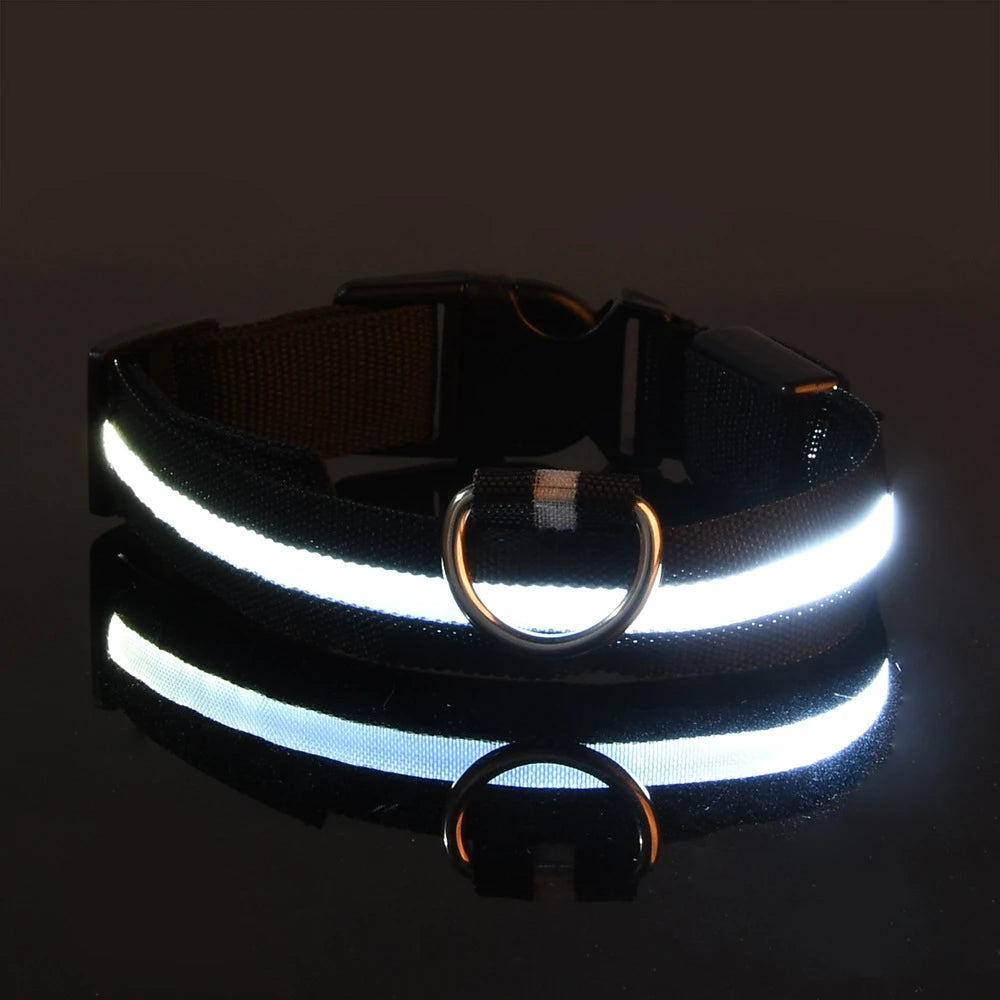 Collar LED Recargable de Nylon para mascotas