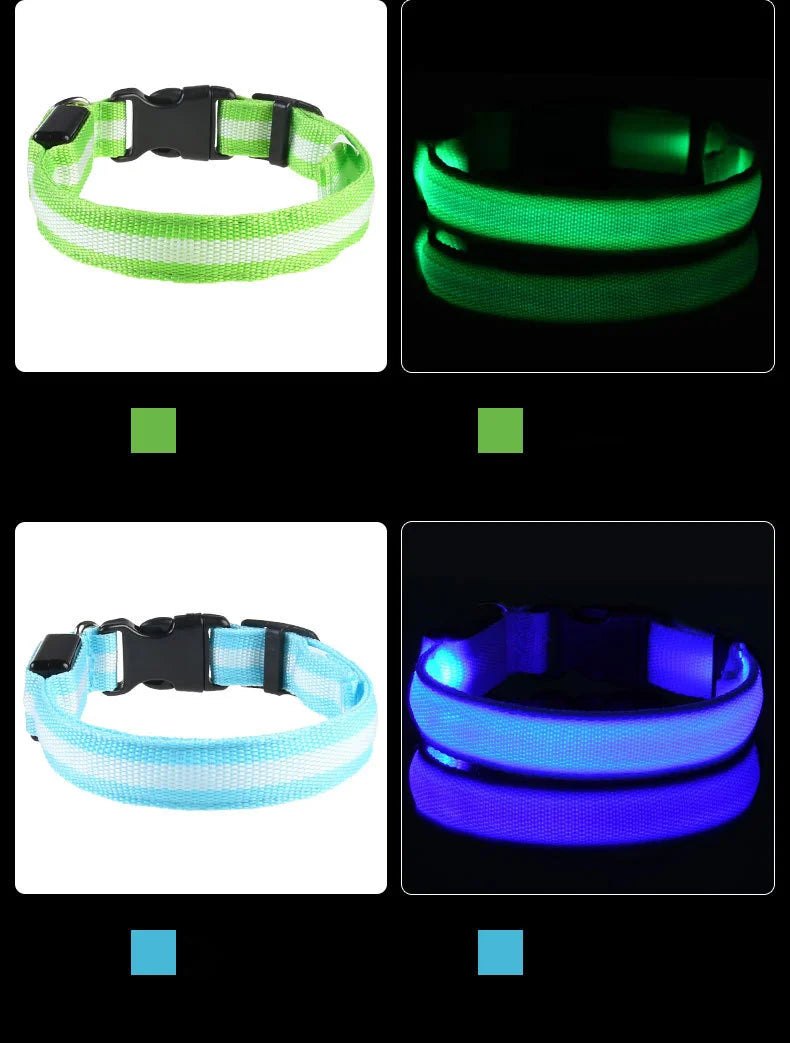 Collar LED Recargable de Nylon para mascotas