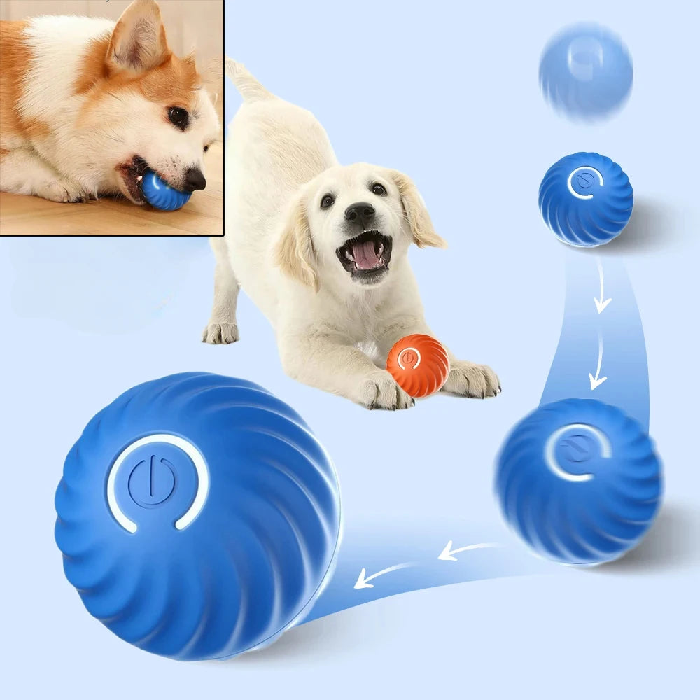 Pelota Inteligente Automática USB para Perros