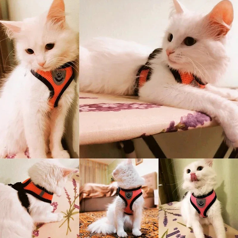 Arnés Ajustable de Malla Transpirable para Perros y Gatos