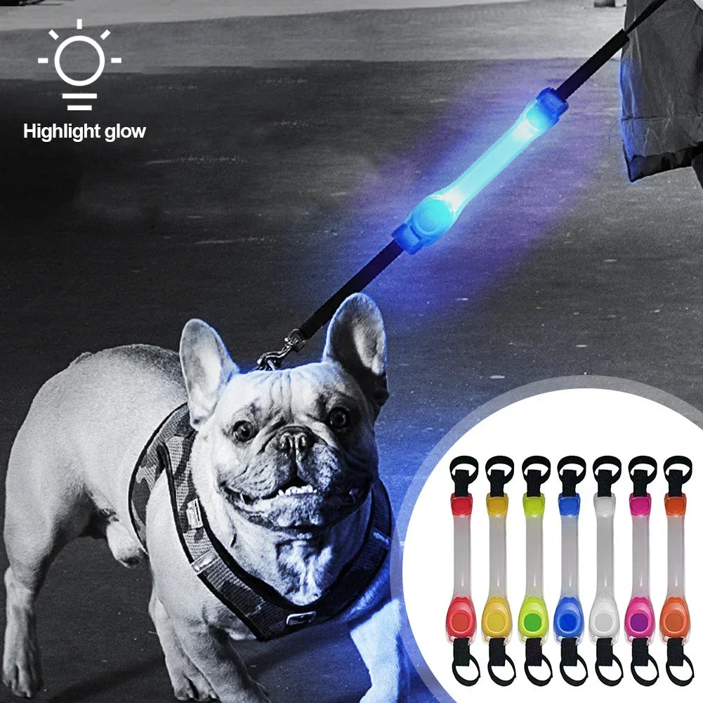 CollarLuces Multicolor para Paseos Nocturnos Seguros