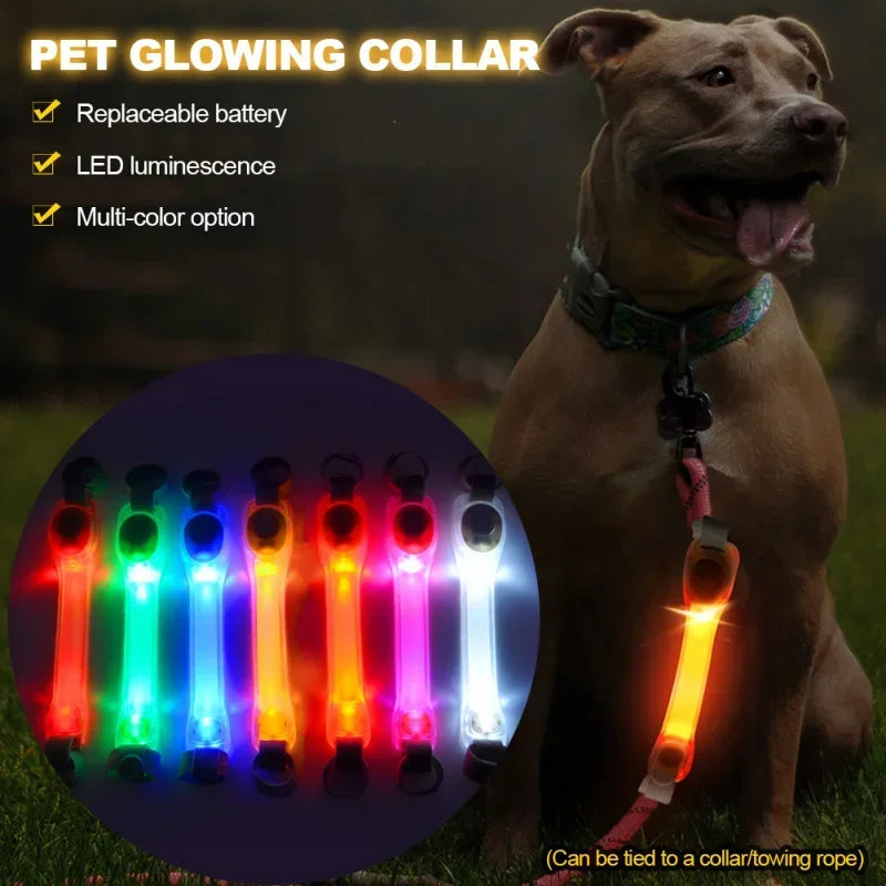 CollarLuces Multicolor para Paseos Nocturnos Seguros