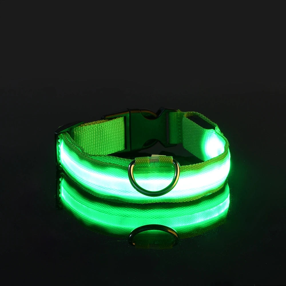 Collar LED Recargable de Nylon para mascotas