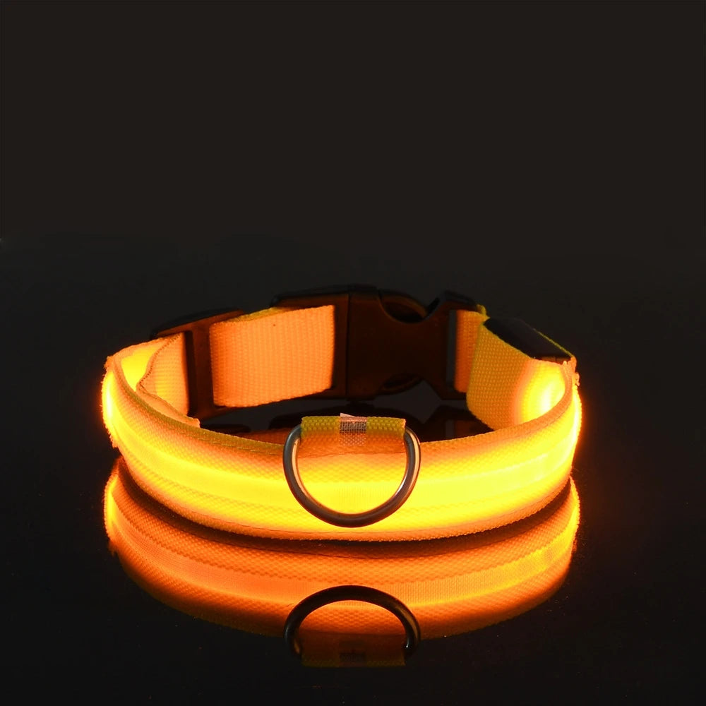 Collar LED Recargable de Nylon para mascotas