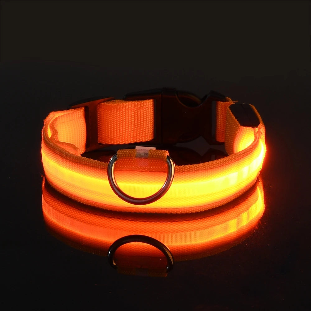Collar LED Recargable de Nylon para mascotas