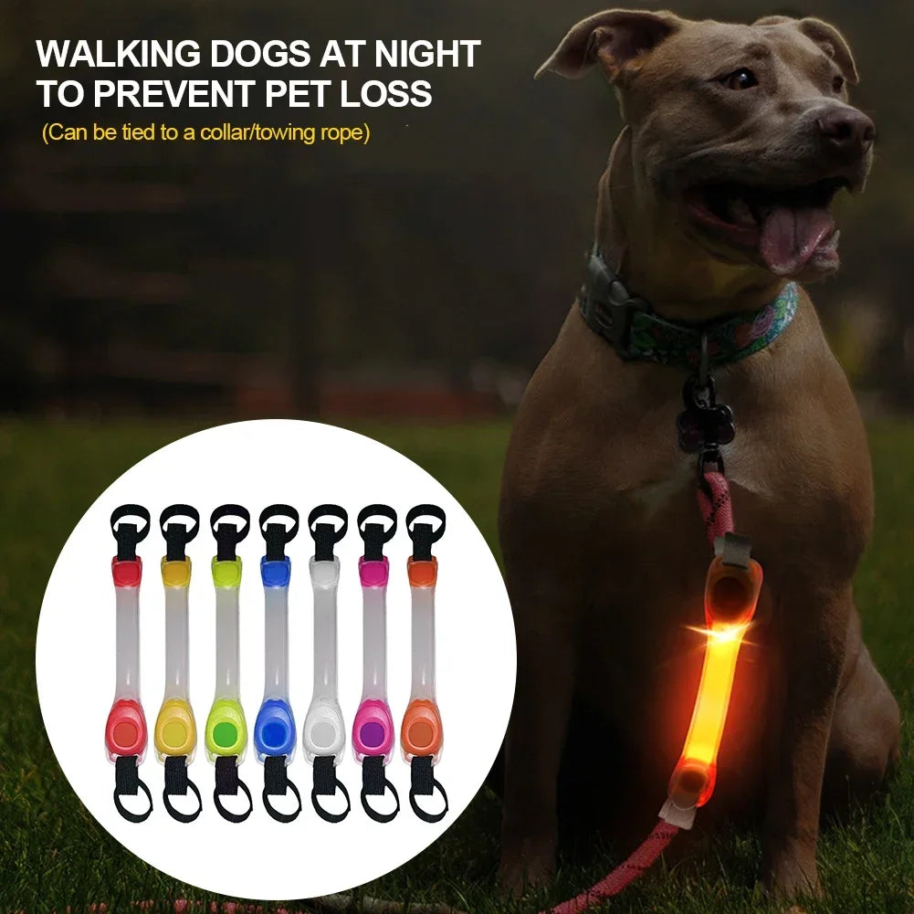 CollarLuces Multicolor para Paseos Nocturnos Seguros
