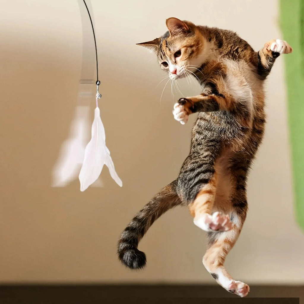 Caña de Juego con Ventosa para Gatos