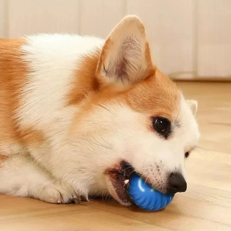 Pelota Inteligente Automática USB para Perros
