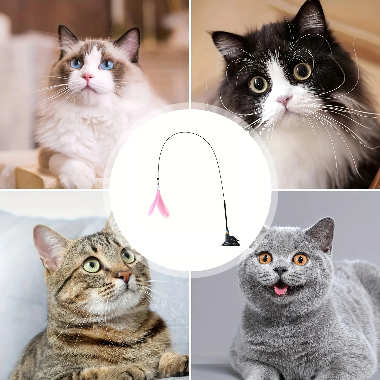 Caña de Juego con Ventosa para Gatos