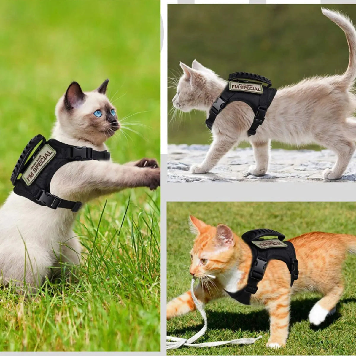 Arnés Táctico Caqui para Gato con Correa Ajustable