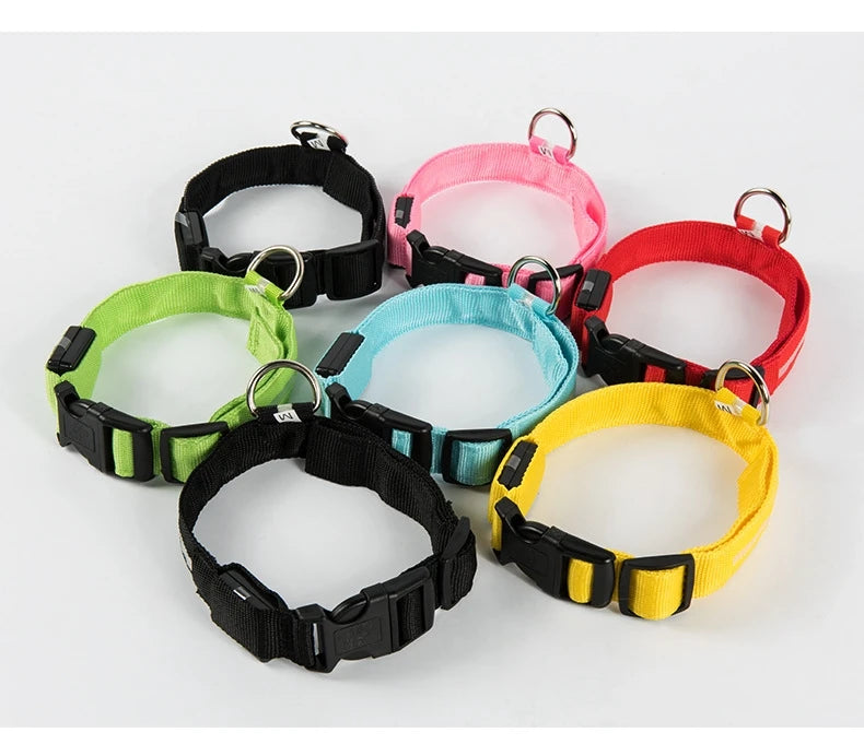 Collar LED Recargable de Nylon para mascotas
