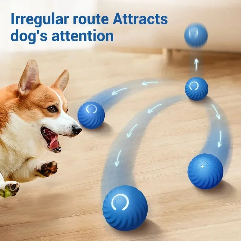Pelota Inteligente Automática USB para Perros