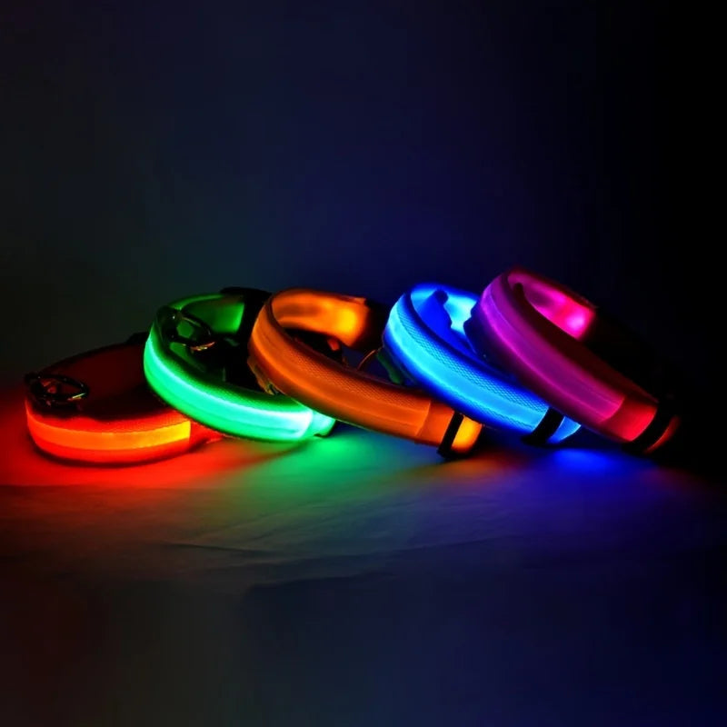 Collar LED Recargable de Nylon para mascotas