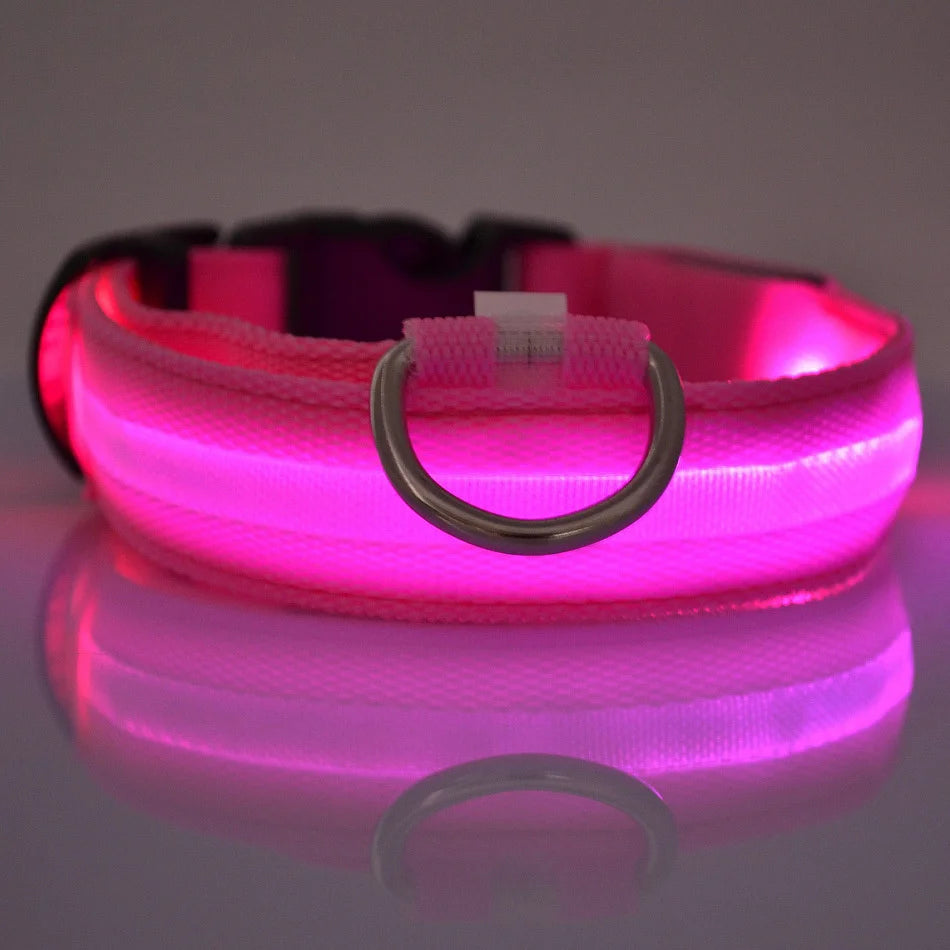 Collar LED Recargable de Nylon para mascotas