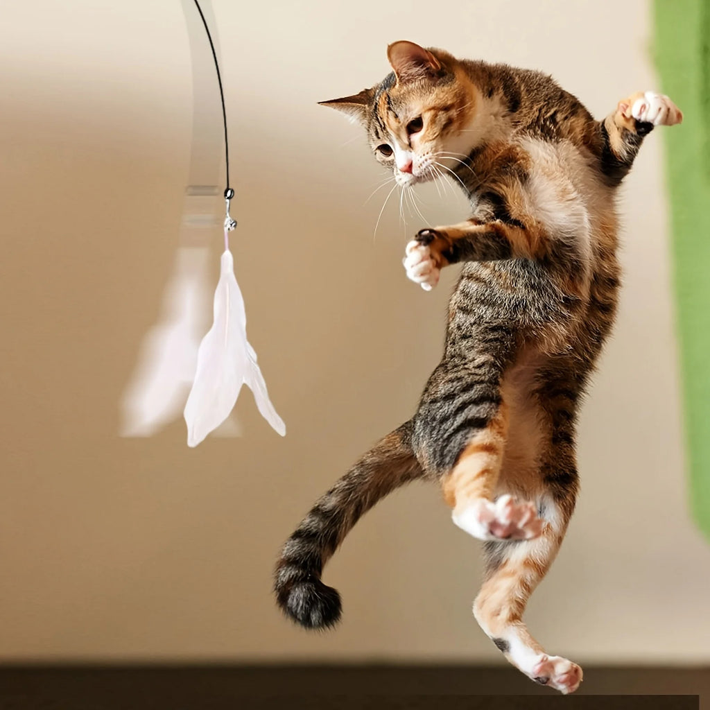 Caña de Juego con Ventosa para Gatos