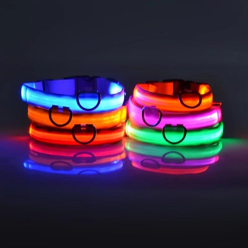Collar LED Recargable de Nylon para mascotas