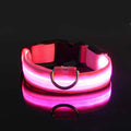 Collar LED Recargable de Nylon para mascotas