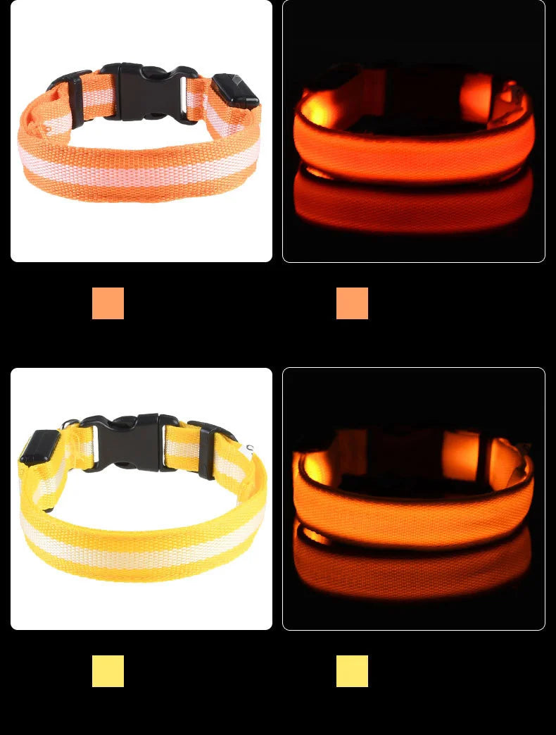 Collar LED Recargable de Nylon para mascotas