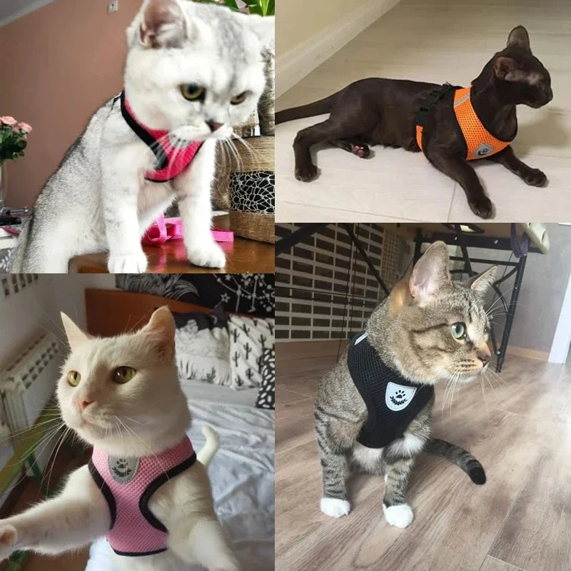 Arnés Ajustable de Malla Transpirable para Perros y Gatos