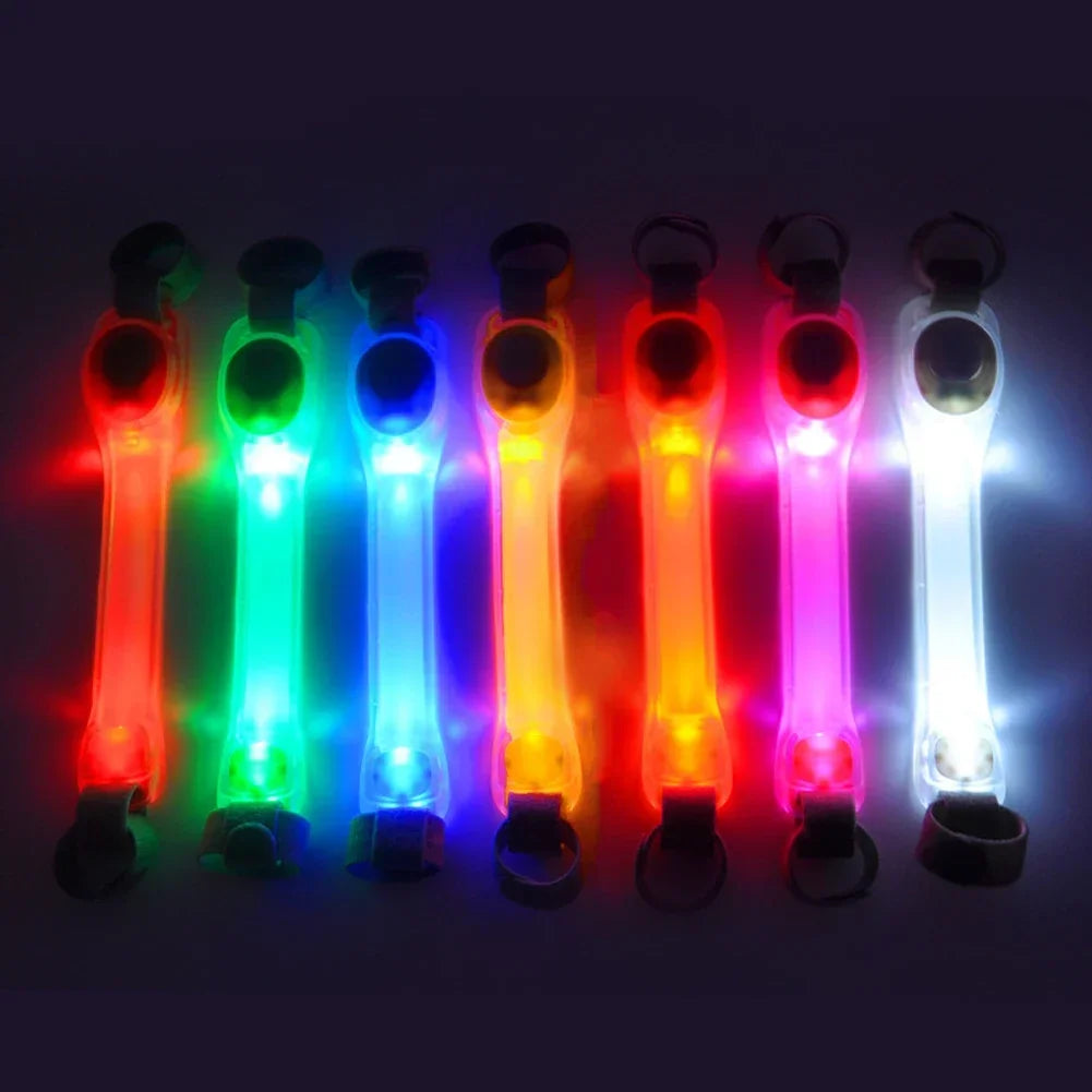 CollarLuces Multicolor para Paseos Nocturnos Seguros