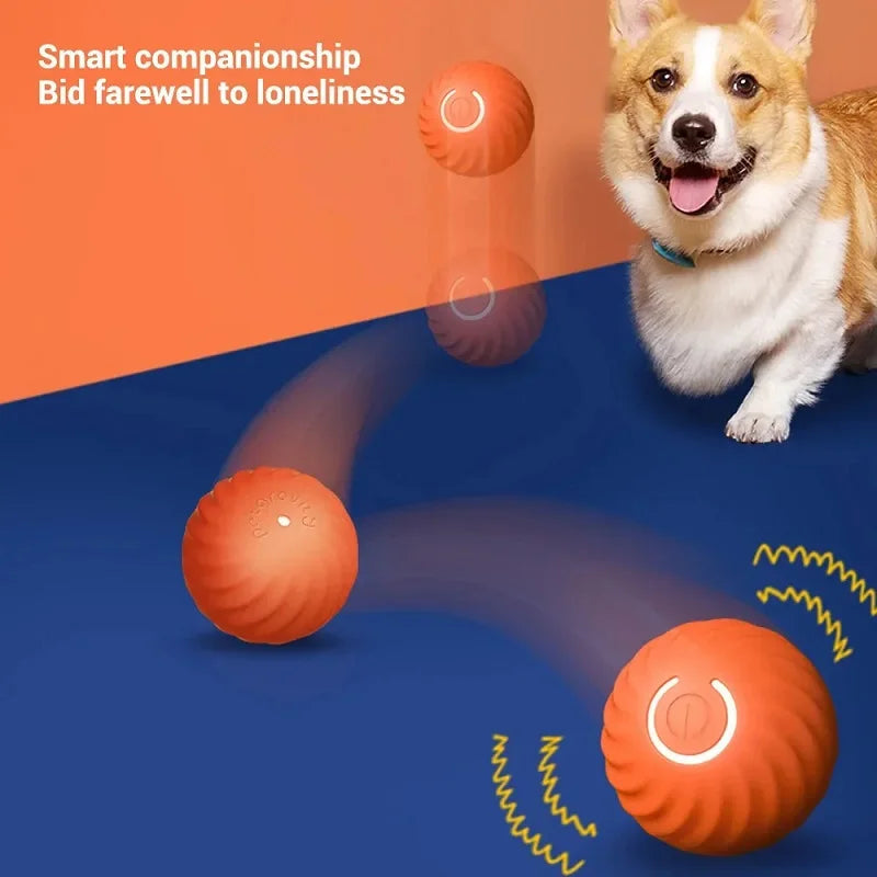 Pelota Inteligente Automática USB para Perros