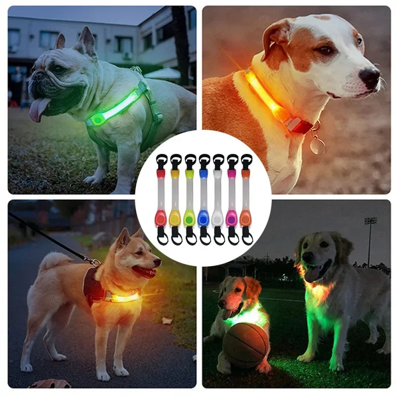 CollarLuces Multicolor para Paseos Nocturnos Seguros