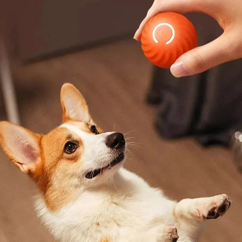 Pelota Inteligente Automática USB para Perros