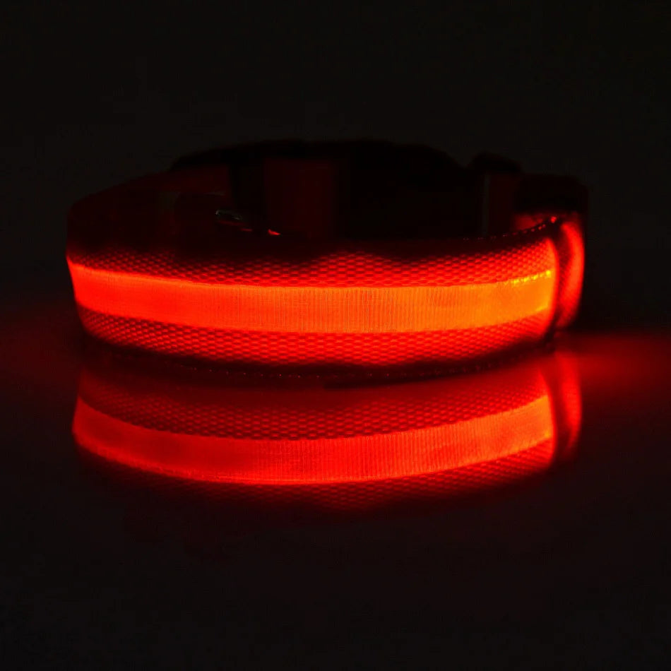 Collar LED Recargable de Nylon para mascotas