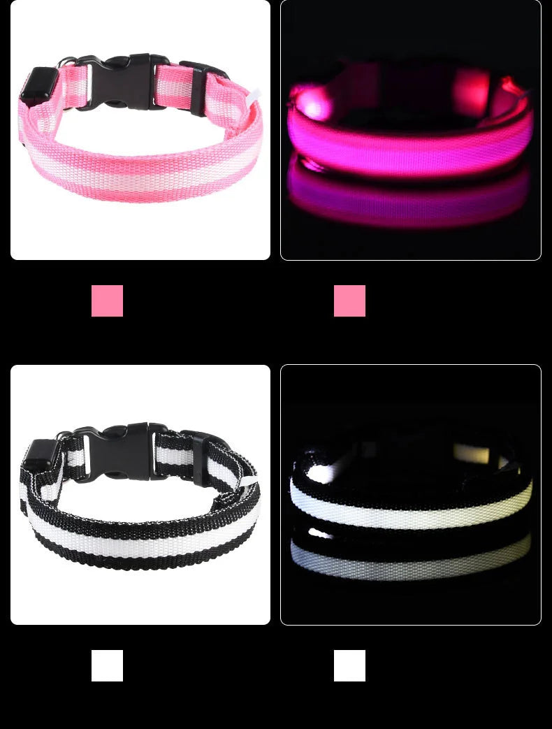 Collar LED Recargable de Nylon para mascotas