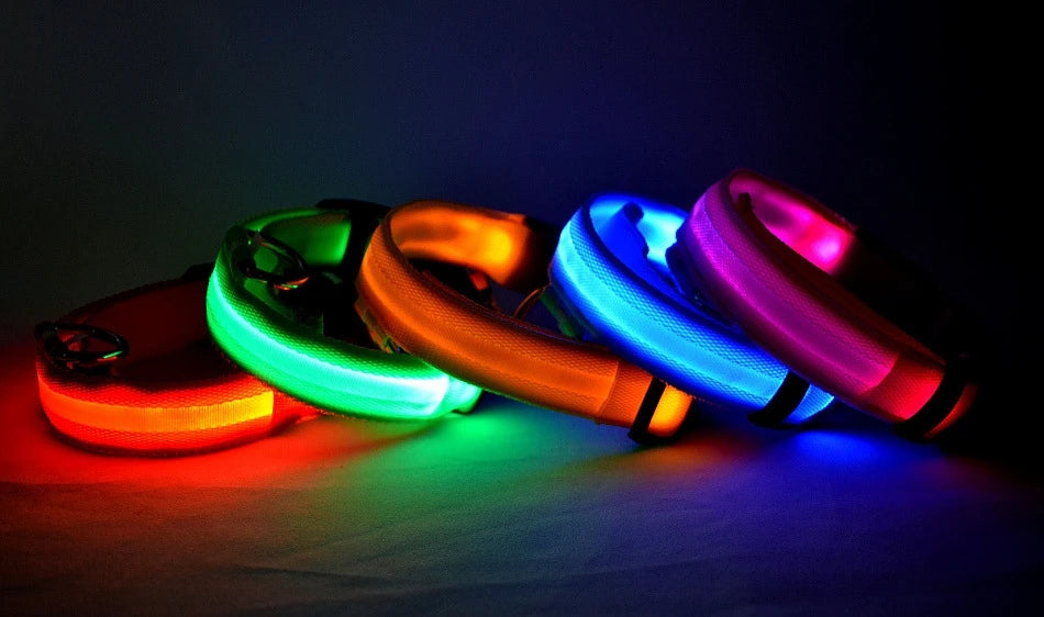 Collar LED Recargable de Nylon para mascotas