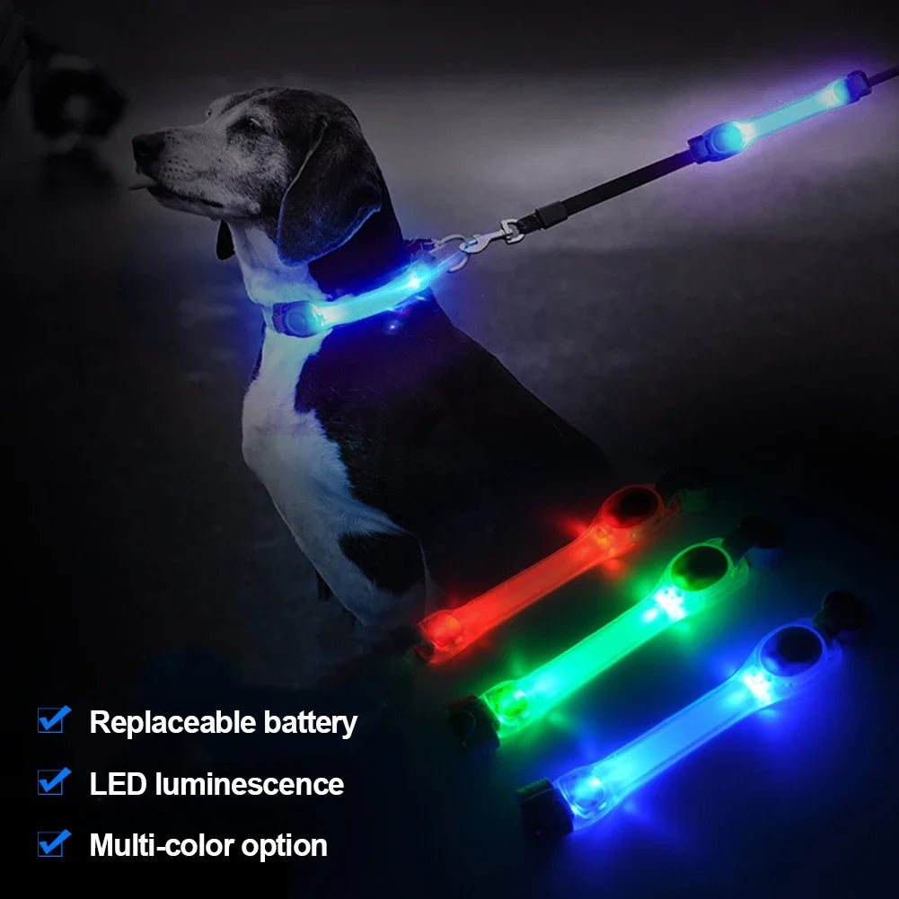 CollarLuces Multicolor para Paseos Nocturnos Seguros