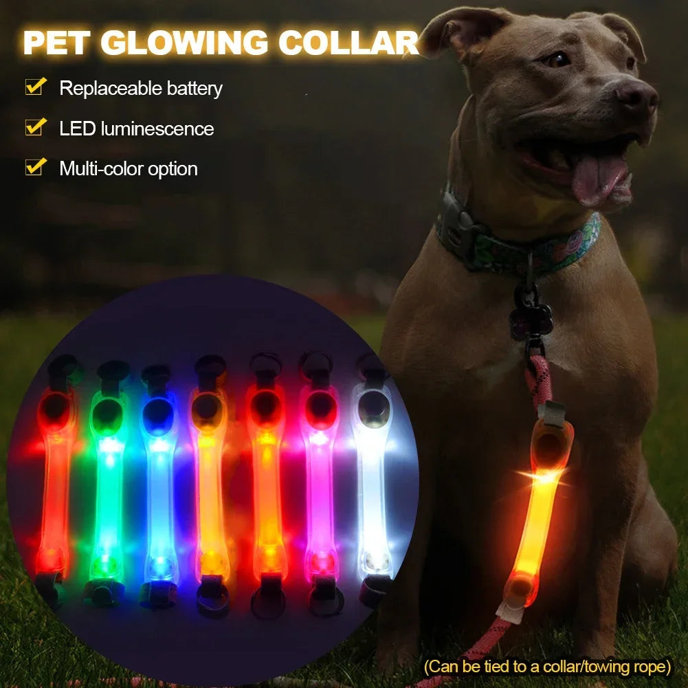 CollarLuces Multicolor para Paseos Nocturnos Seguros