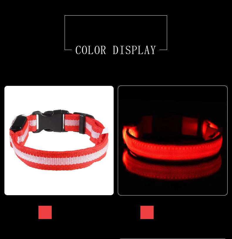 Collar LED Recargable de Nylon para mascotas